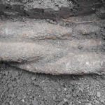 proiectile neexplodate gradina Cordun (2)