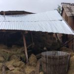 Animale scoase de sub daramaturi (2)