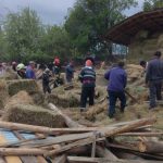 Animale scoase de sub daramaturi (4)