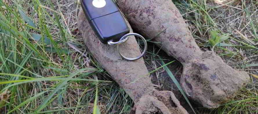 Două proiectile neexplodate descoperite în curtea unui cetățean din Petricani