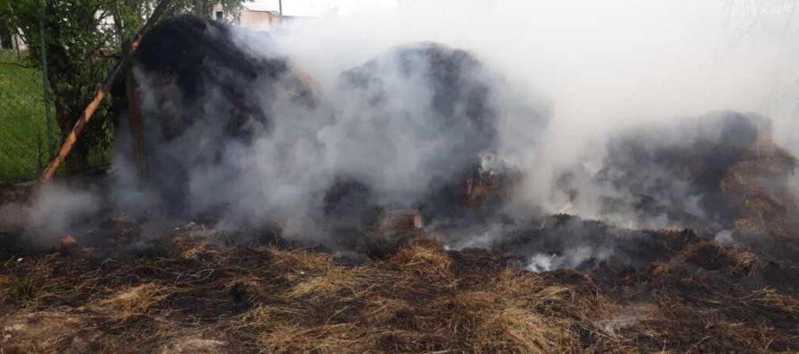 4 tone de fân au ars din cauza unori copii care s-au jucat cu focul