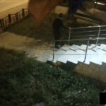 cautat de politisti pentru distrugere (1)