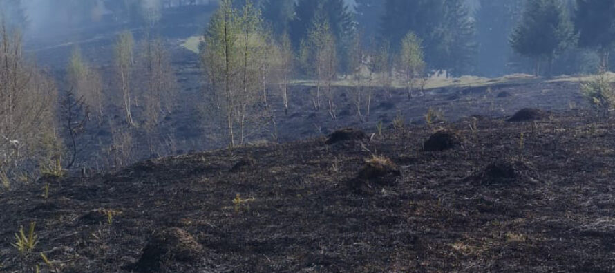 Incendiu de vegetație extins pe 50 de hectare la Borca
