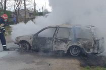 Păsări arse de vii în portbagajul unui autoturism