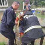 femeie evacuata inundatii Vaduri