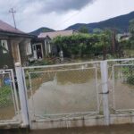 gospodarii inundate in Neamt (1)