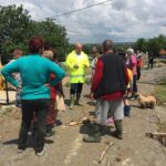 inundatii locuinte cartierul Valeni (4)