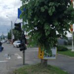 accident rutier adormit la volan Piatra Neamt (4)