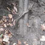 munitie neexplodata padurea nemtisor