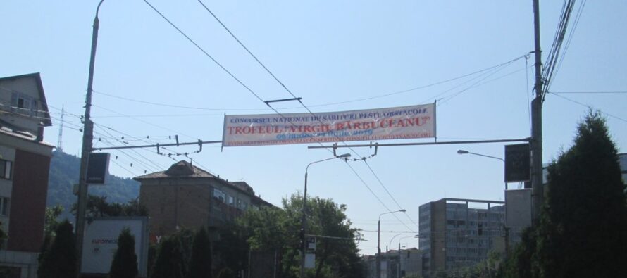 Reguli privind amplasarea și autorizarea materialelor publicitare electorale