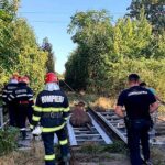 bovina salvata de pe calea ferata (3)