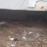 adaposturi improvizate cersetori piatra neamt (6)