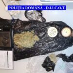 cannabis confiscat piatra neamt (1)