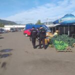 controale politisti locali (6)