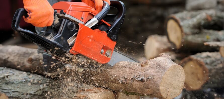 Vindeau lame de motoferăstrău fără autorizație și au fost reținuți de polițiști