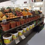 piata centrala redeschisa piatra neamt (3)