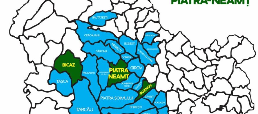 Proiecte ambițioase pentru Zona Metropolitană Piatra Neamț