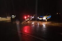 Transportatorii de lemne controlați de polițiști în zona Borca