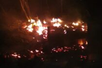 Incendiu puternic la un adăpost de animale din Gherăiești, au ars două tone de cereale și zeci de păsări
