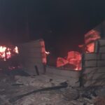 incendiu animale arse borlesti