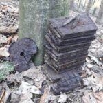 munitie neexplodata padurea nemtisor (2)