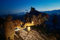 Depozitele de fier vechi și dezemembrări auto verificate de polițiștii locali