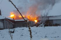Incendiu extins la o gospodărie din Grumăzești