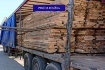 Transport ilegal de lemne oprit de polițiști în Bicaz
