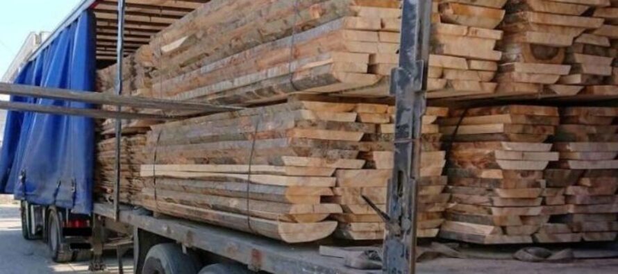 Transport ilegal de lemne oprit de polițiști în Bicaz