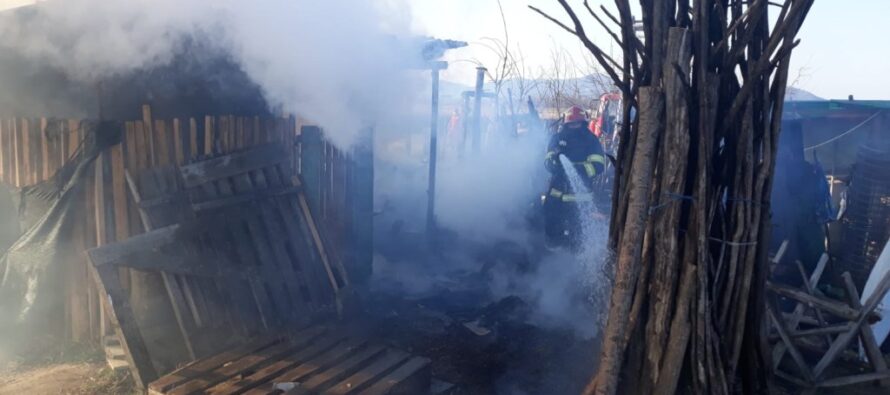 Animale salvate dintr-un incendiu de pompierii nemțeni, în comuna Grumăzești