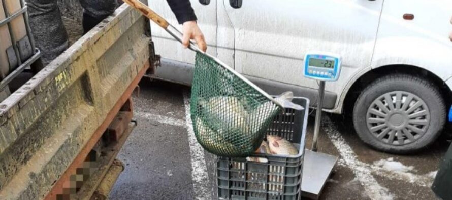 Bărbat din Hangu amendat pentru braconaj piscicol