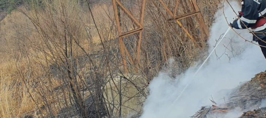 3 incendii de vegetație s-au produs astăzi în județul Neamț