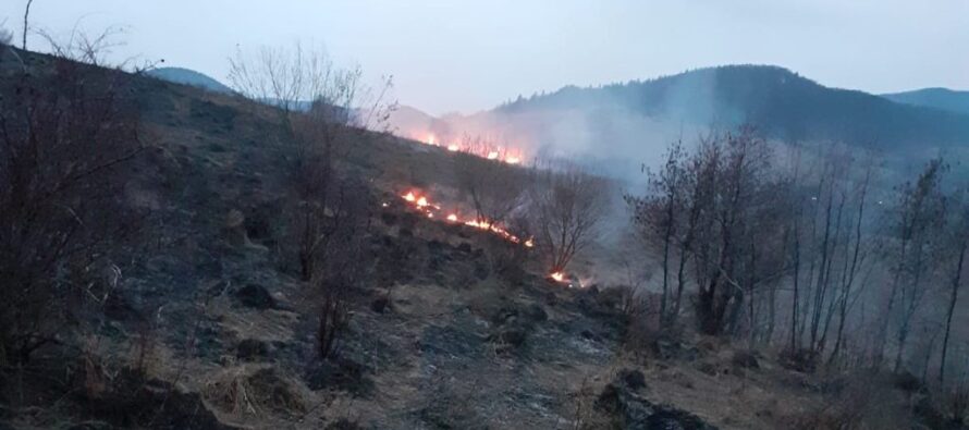 5 hectare de vegetație au ars într-un incendiu, în comuna Crăcăoani