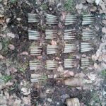 munitie neexplodata padurea nemtisor (1)