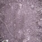 munitie neexplodata padurea nemtisor (2)