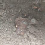 munitie neexplodata padurea nemtisor (3)