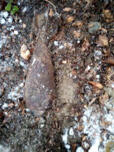 munitie neexplodata padurea nemtisor (5)