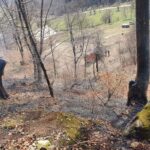 incendii de vegetatie litiera borlesti (3)