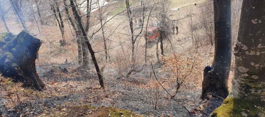 Incendii de vegetație la Bălțătești și Borlești, peste 4 hectare au ars