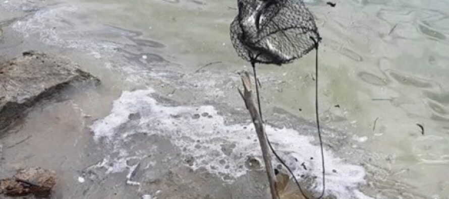 54 de amenzi aplicate în zona Lacului Bicaz pentru pescuit în perioada de prohibiție