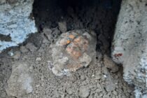 Grenadă descoperită într-o gospodărie din Bodești în timpul unor săpături