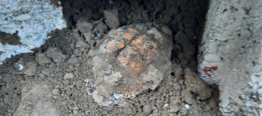 Grenadă descoperită într-o gospodărie din Bodești în timpul unor săpături