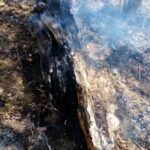 incendiu de vegetatie oantu (1)