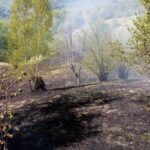 incendiu de vegetatie oantu (2)