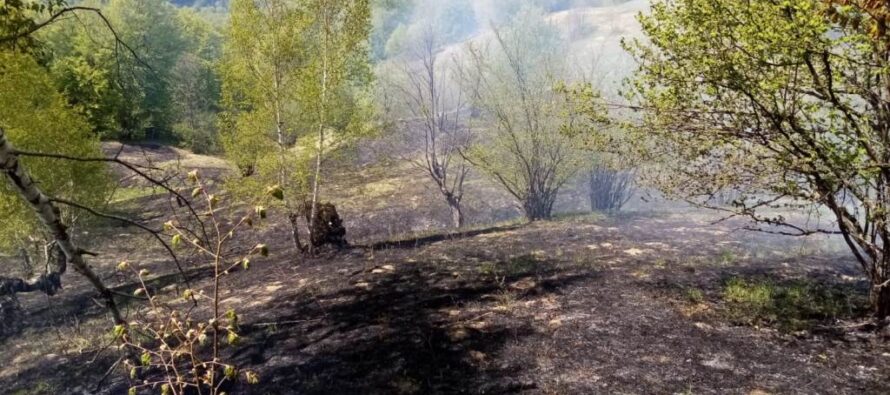 Incendiu de vegetație în localitatea Oanțu stins cu greu de pompieri