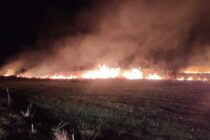 Incendiu de vegetație uscată în comuna Mărgineni