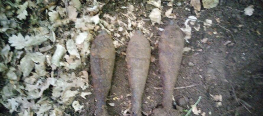 Muniție neexplodată descoperită în pădurea Braniște de la Vânători Neamț