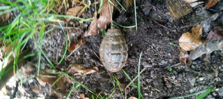 Grenadă neexplodată descoperită în pădurea de la Bâtca Doamnei