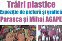 ”Trăiri plastice” – expoziție de pictură la Biblioteca Județeană ”G. T. Kirileanu”