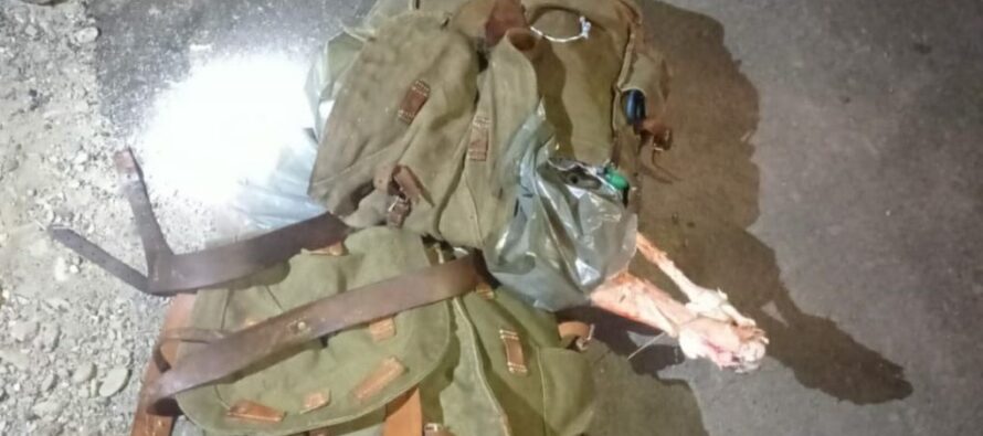 3 bărbați urmăriți prin pădure de polițiști pentru braconaj